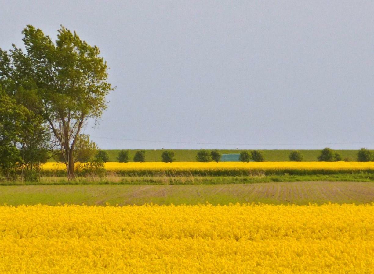 Wattenblick Büsum Kültér fotó